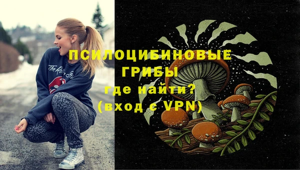 a pvp Арсеньев